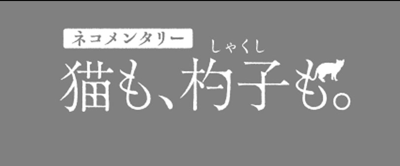 10 26 水 午後10 00 のんが ネコメンタリー 猫も 杓子も で朗読をします Nhk Eテレ 女優のん 公式サイト