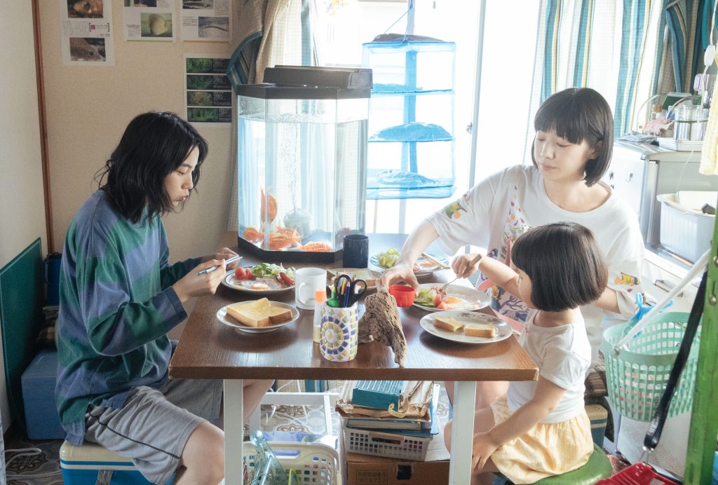 未開封　さかなのこ('22「さかなのこ」製作委員会)〈特装限定版・2枚組〉 Amazon.co.jp: さかなのこ 特装限定版Blu-ray : 沖田修一: DVD